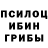 Галлюциногенные грибы прущие грибы Antony Decosta