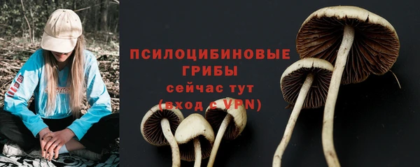 наркотики Абаза