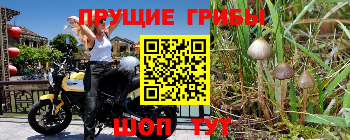 Галлюциногенные грибы мицелий Холмск