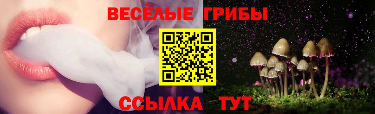 наркотики  Вход с VPN  Холмск  Галлюциногенные грибы Cubensis 